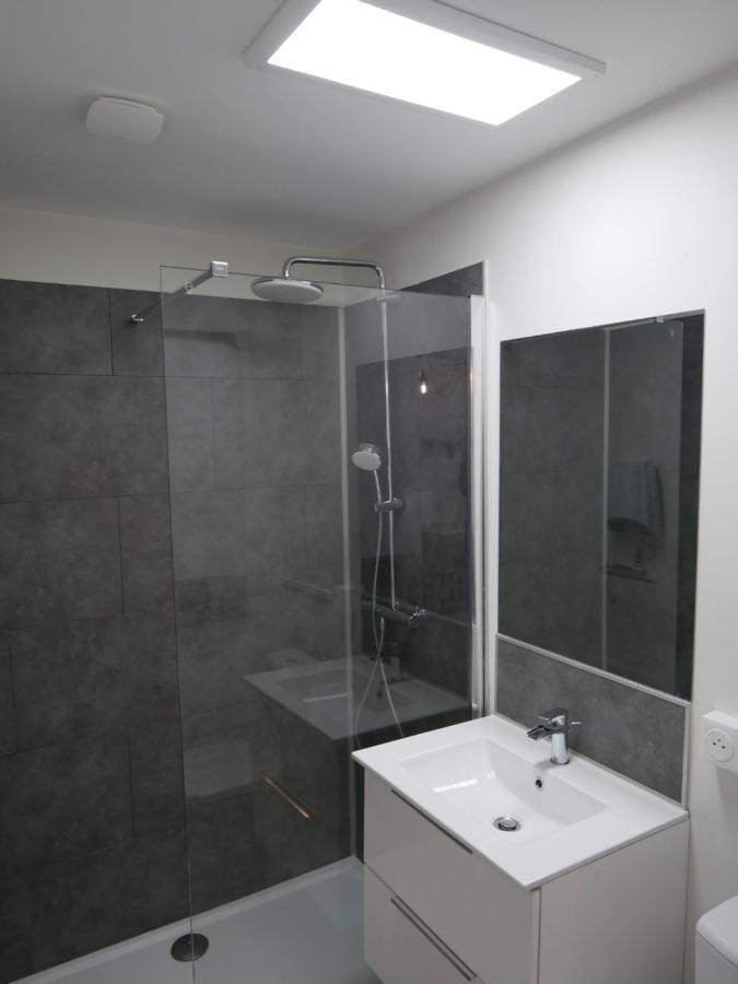 Au 3 Rue Manhes Apartman Albi Kültér fotó