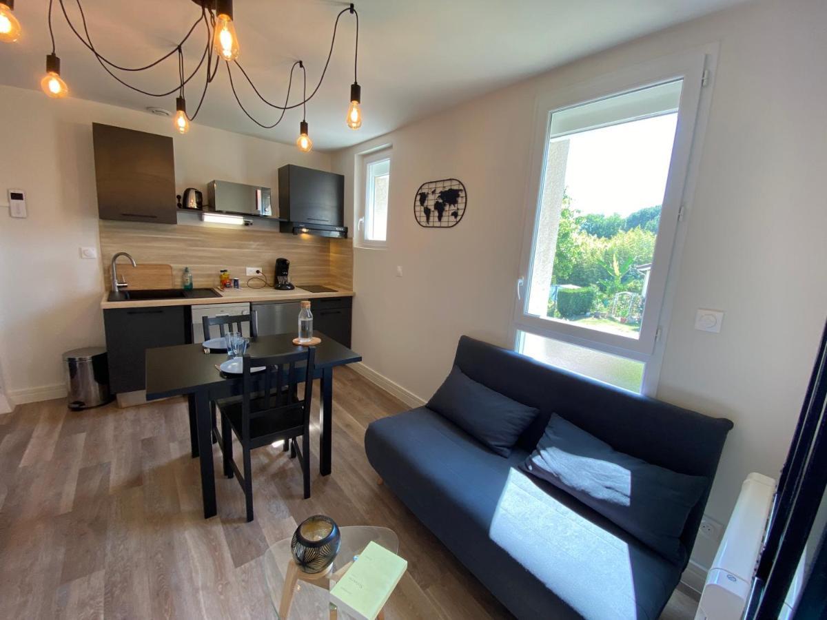 Au 3 Rue Manhes Apartman Albi Kültér fotó