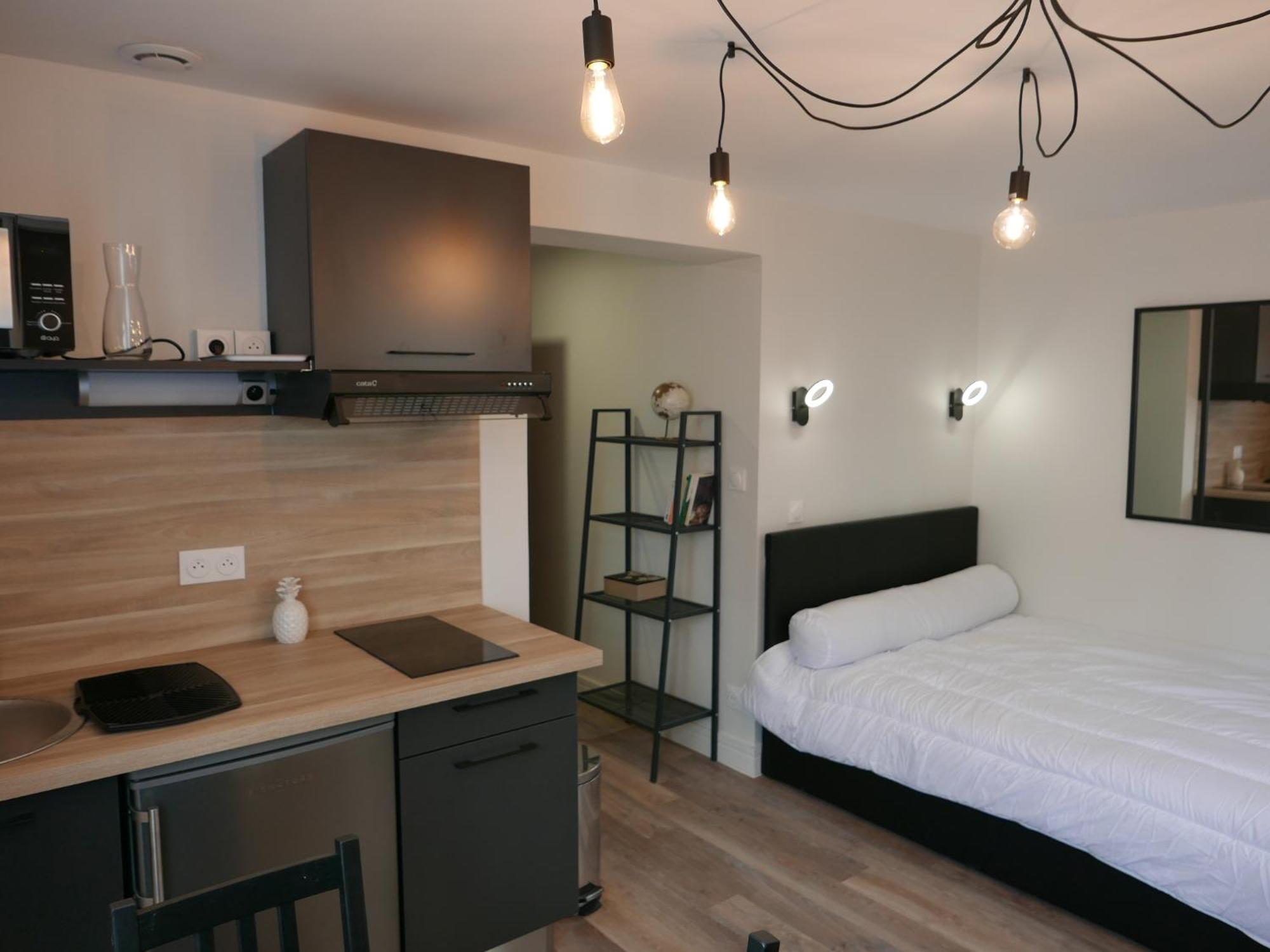 Au 3 Rue Manhes Apartman Albi Kültér fotó