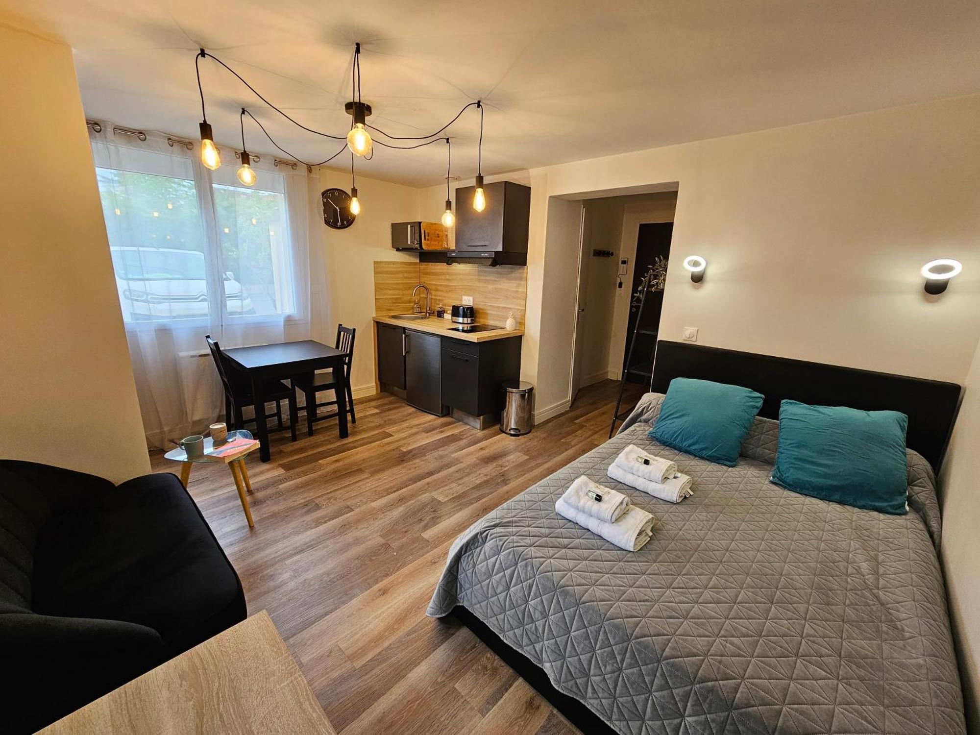 Au 3 Rue Manhes Apartman Albi Kültér fotó